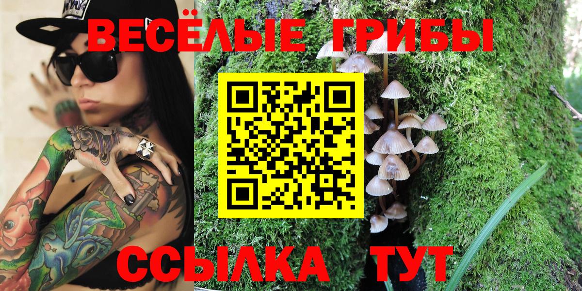 Уссурийск  Галлюциногенные грибы Psilocybe  Псилоцибиновые грибы ЛСД  Вход с VPN 
