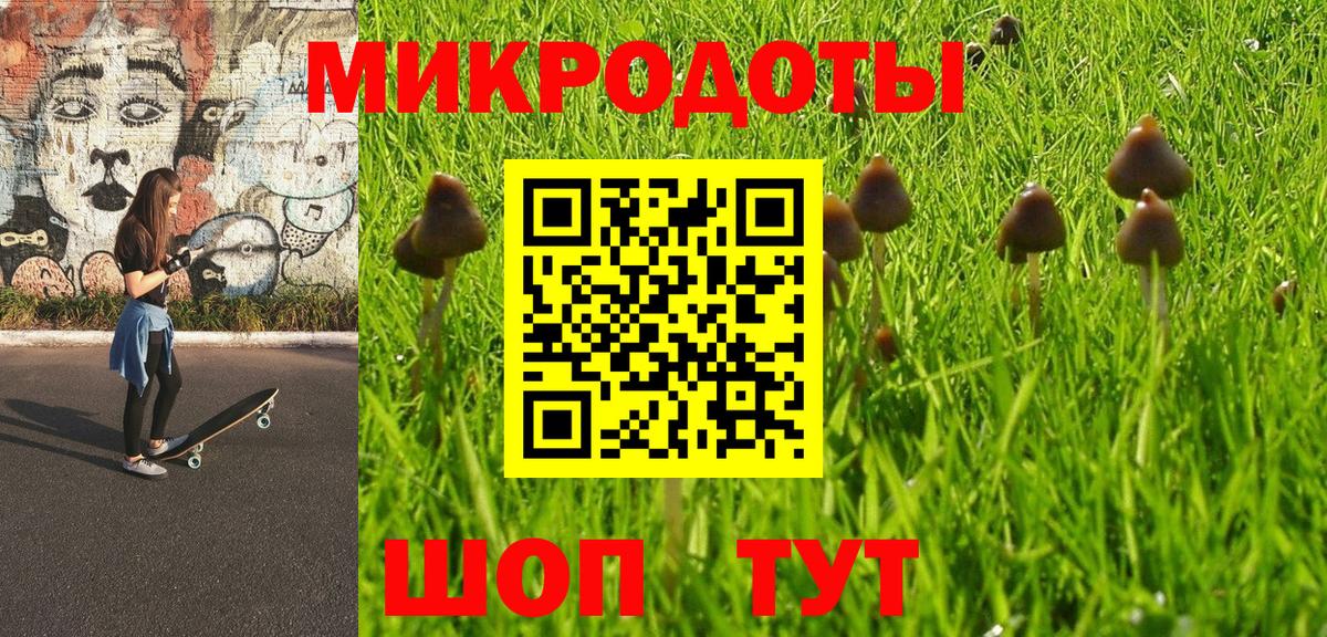 Псилоцибиновые грибы Cubensis Уссурийск